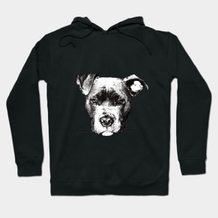 American Pit Bull - Pit Bull Christmas Gifts Hoodie